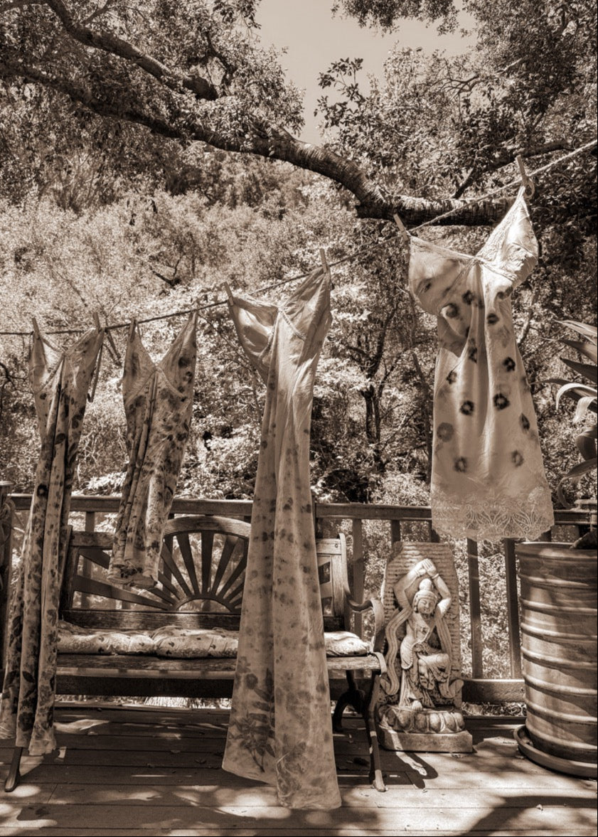 silk dresses hanging outdoors with trees in the background