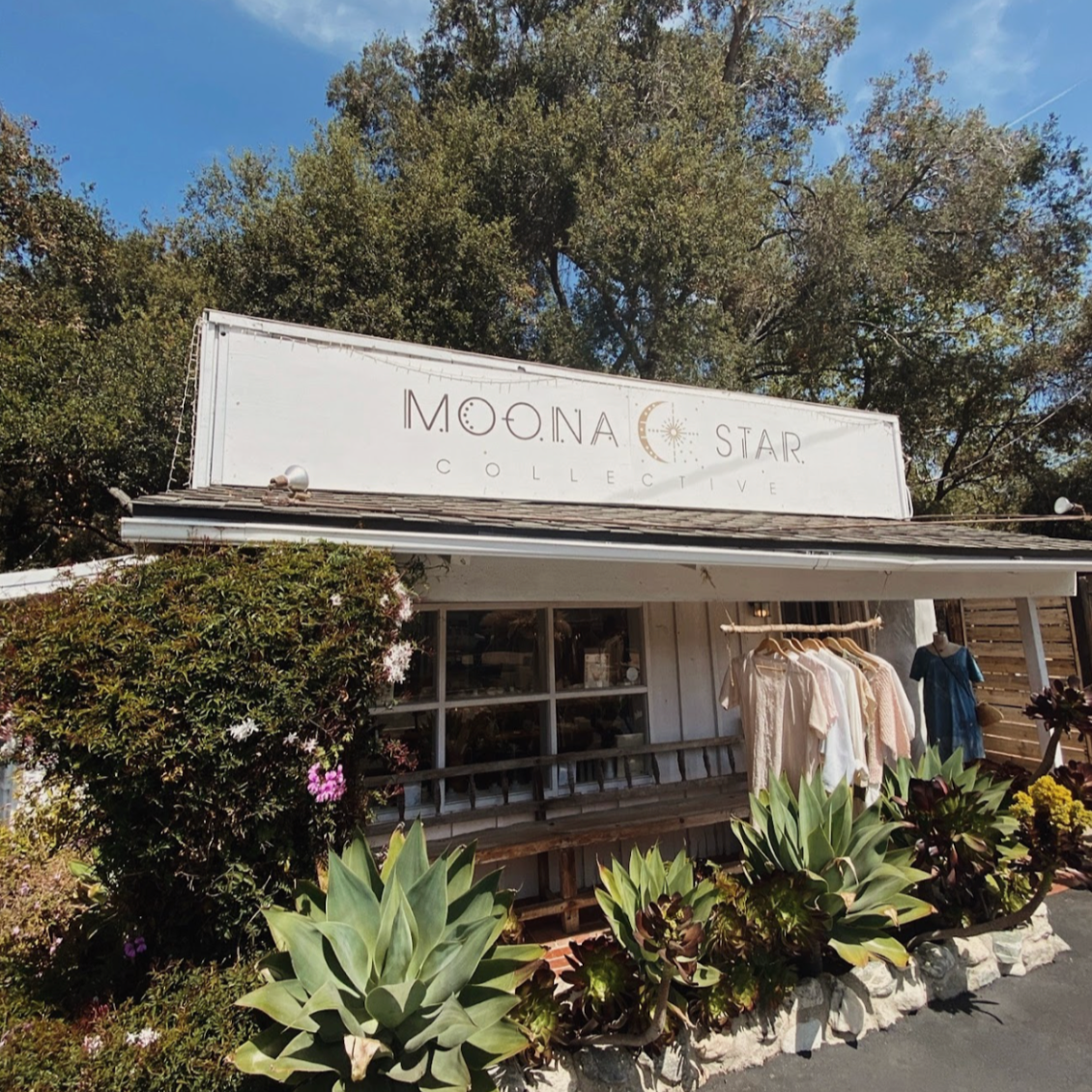 Storefront with 'Moona Star' sign surrounded by plants and trees