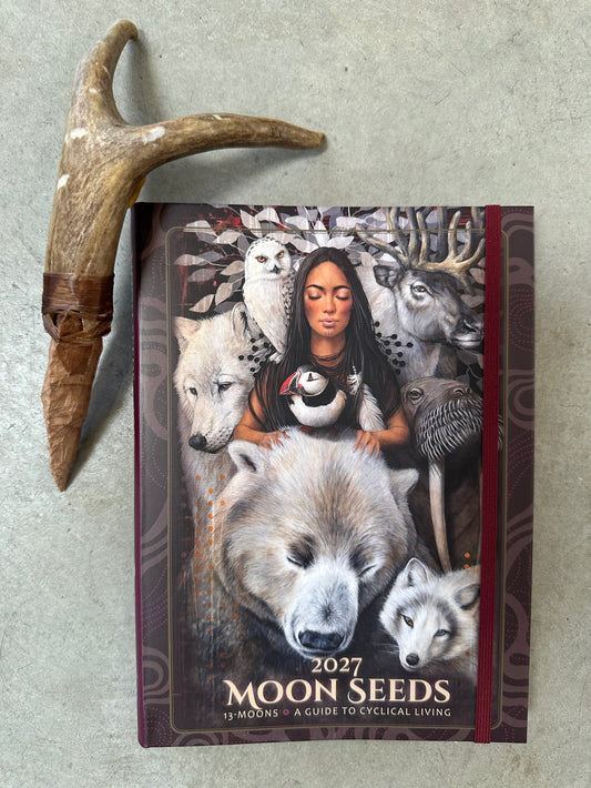 Moon Seeds 2027 Journal