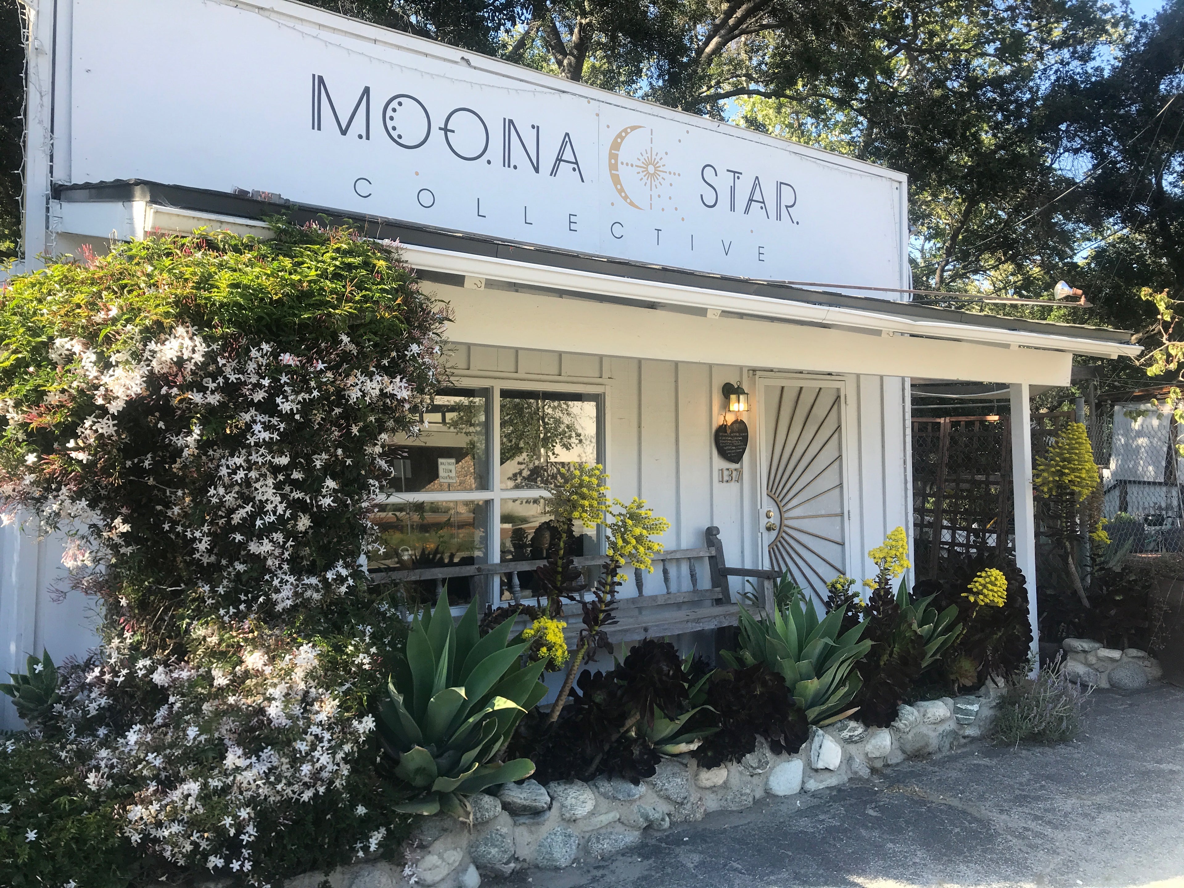 Storefront of Moona Star Collective with decorative plants and flowers.