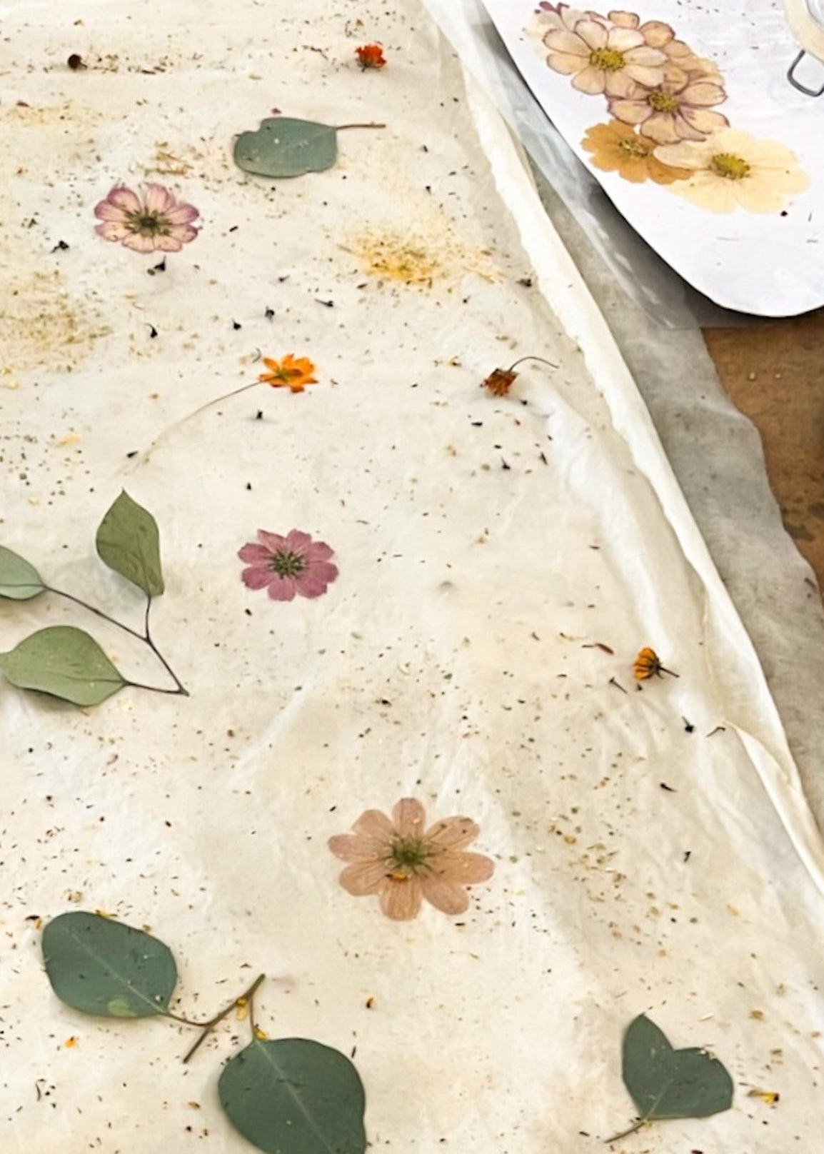 Sheet of pressed flowers and leaves on a textured surface with a white tray in the background.